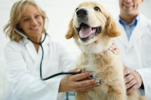 Compounding of veterinary medicines